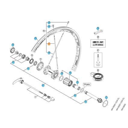 Shimano Rayon WH-RS81-C35