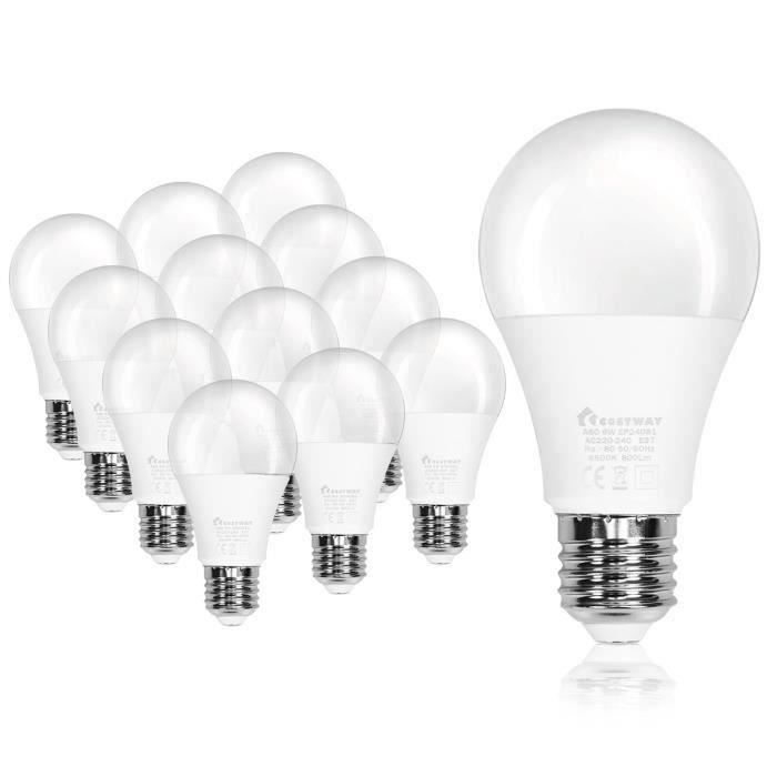 Lot de 12 Ampoules LED E27 A60 9W,25000 Heures de Durée de Vie,6500K de