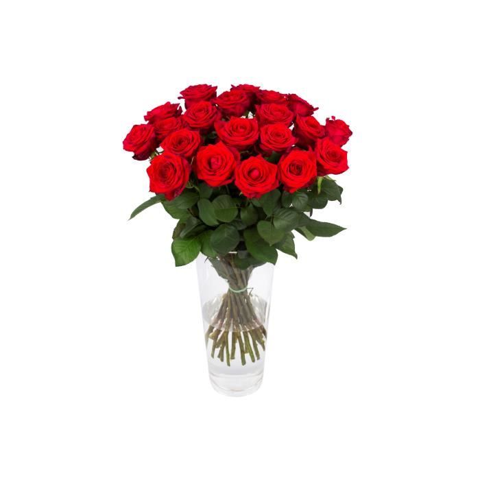 Bouquet de Botanicly – Bouquet de roses rouge, gros – Hauteur: 60 cm, 20  branches plante naturelle - Cdiscount Maison
