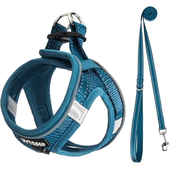Garde arrière rembourrée Shires ARMA bleu vif taille unique