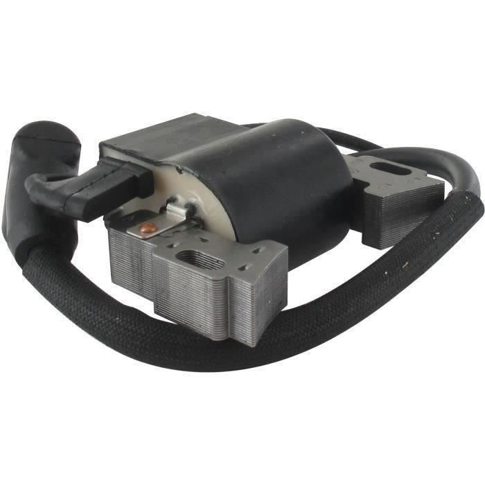 Bobine d'allumage adaptable pour GGP / MOUNTFIELD modèles SV150, RV150, M150, V35, V40