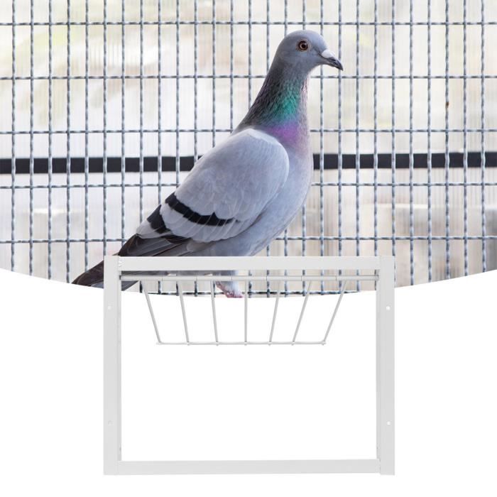 Comparer les prix de Shipenophy Maison pour oiseaux Cage Piège en fer grande résistance pour Pigeons et Perroquets