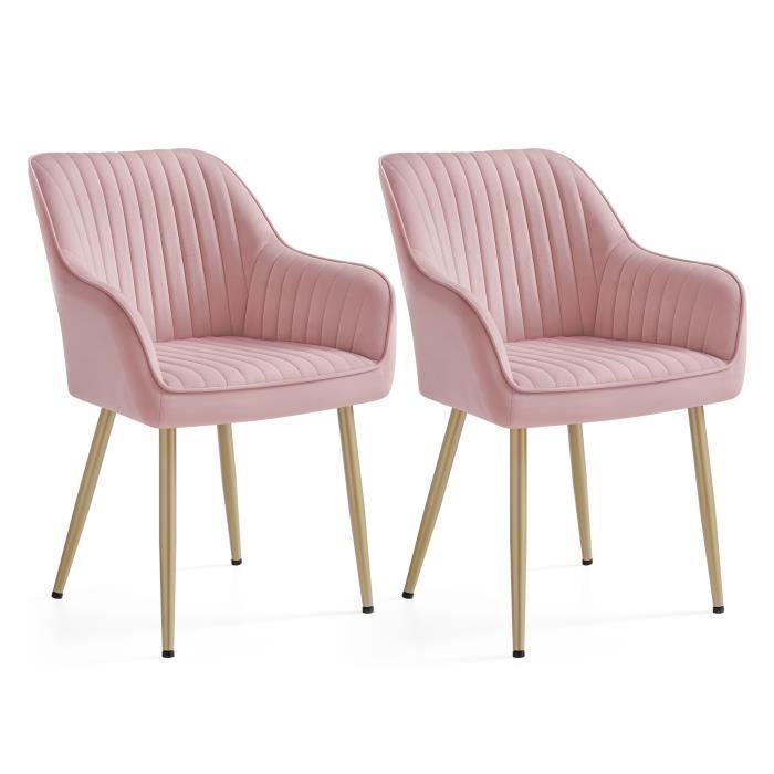 Chaise Salle à Manger lot de 2 Chaise de Cuisine