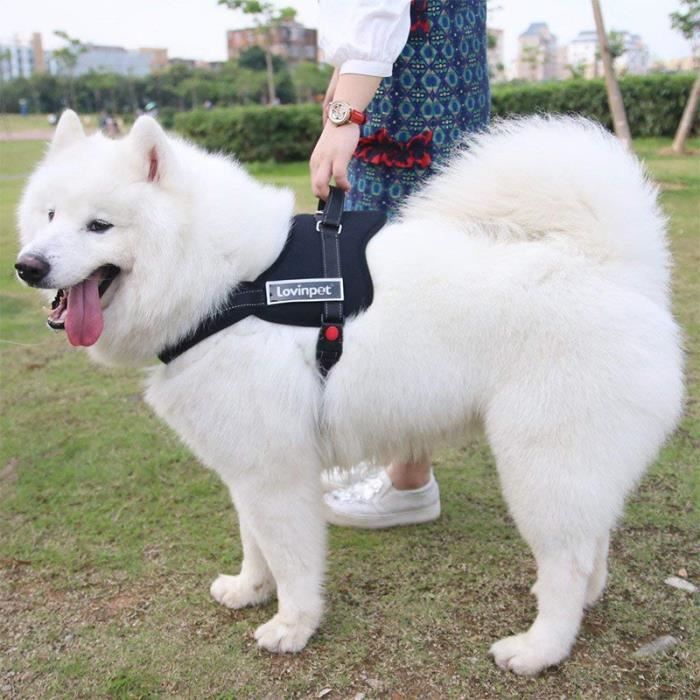 Gilet pour Animaux de Compagnie Rembourr/é Ob/éissance et Dressage pour Chien et Chiot Denim, XS//S L/éger et R/églable Supergirl Harnais pour Chien Respirant Tailles XXS /à L