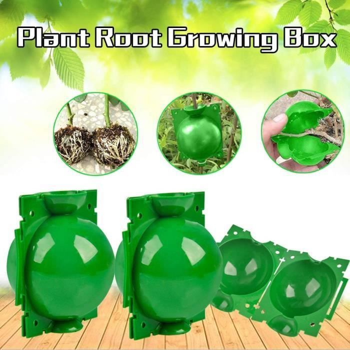 12 Boîtes D'Enracinement WELLXUNK - Marcottage Aérien Plantes