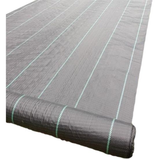 Jordbrux Telo in pile da giardino, 30 g/m², 2 m x 10 m, protezione