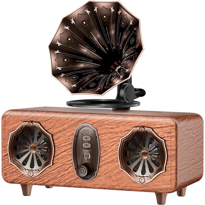 Un ensemble de haut-parleurs Bluetooth 2.1 Radio FM, entrée pour carte TF, AUX