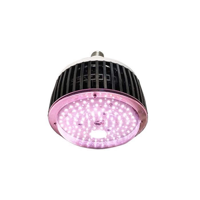 Ballast shop neon led