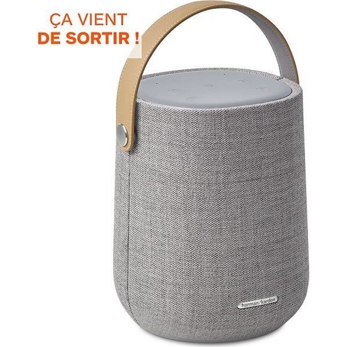 Enceinte Multiroom Harman Kardon Citation 200 Gris - Batterie 8h - 50 Watts - Résiste aux éclaboussures