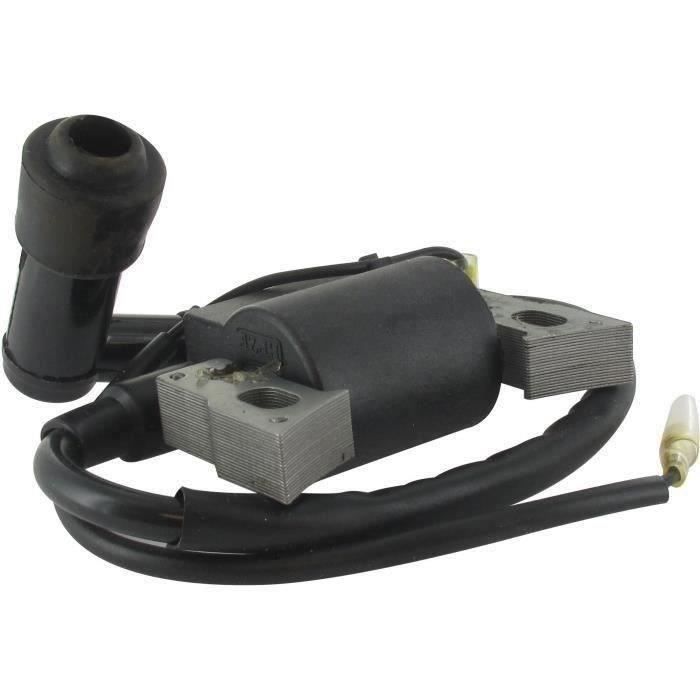 Bobine d'allumage adaptable pour HONDA modèles G100K1, G100K2, EG650, EM500K1, EM600, EG650 2