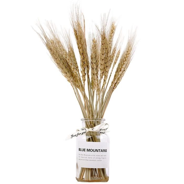 Vase En Verre Transparent Avec Grande Base En Relief, Vase Hydroponique, Vase Décoratif Pour