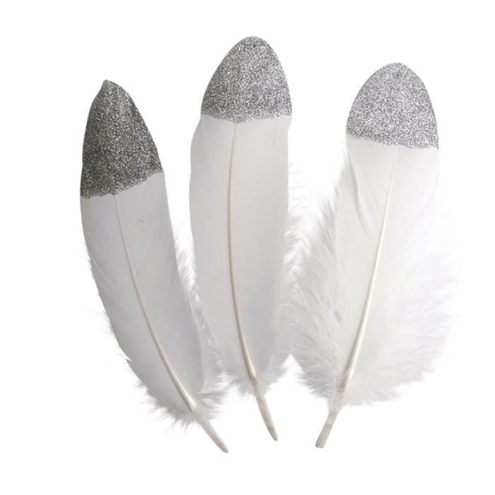 Plumes à Bout argenté 4x19 cm 10 pièces MegaCrea
