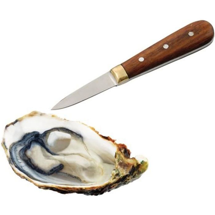 Tellier - Couteau à huîtres professionnel - Cdiscount Maison