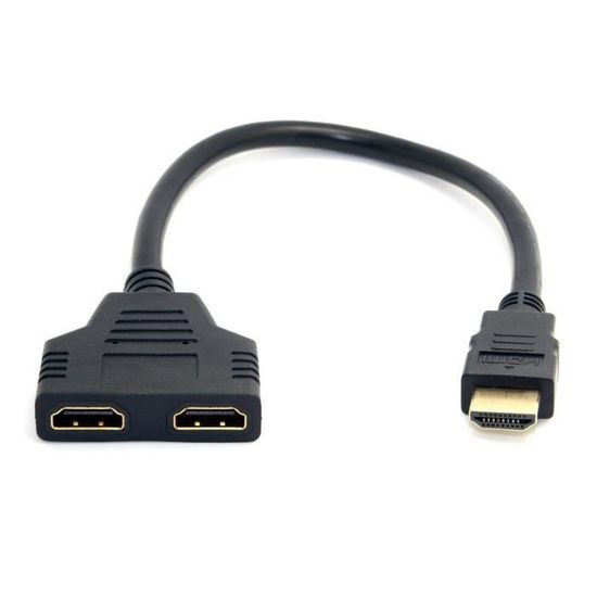 Ineck - INECK - adaptateur DVI vers HDMI, fiche DVI male (24+1) vers prise  HDMI femelle