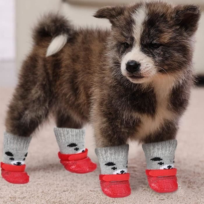 Chaussette pour chien neige deals