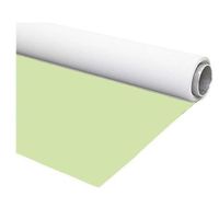 fond 240x600cm de vinyl vert clair-blanc