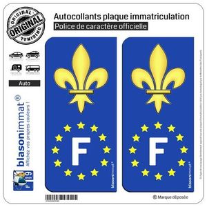 2 Autocollants Plaque Immatriculation Département 45 Loiret - Format Officiel 4.5x9.8 Cm - Résistants Aux Intempéries - Noir