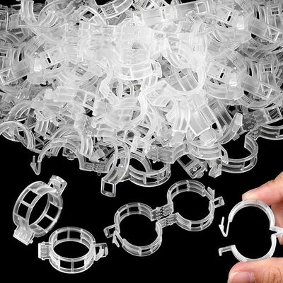 Lot 50 Boucles Connexion Treillis Plantes 16 Mm – Acier Noir, Fixation Solide Pour Serre, Jardin, Balcon & Cages Végétales