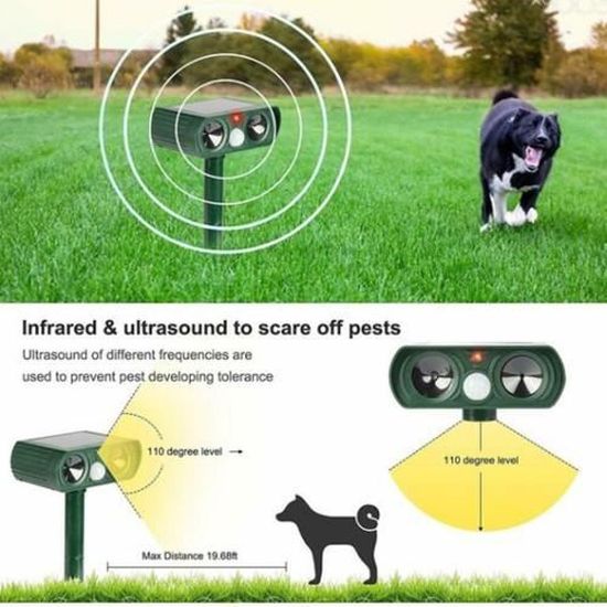 Repulsif Chat Exterieur Repulsif Chat Ultrason Souris Et Rat Repulsif Ultrason Protection Du Jardin Ultrasons Protection Pour Le Ja Cdiscount Jardin