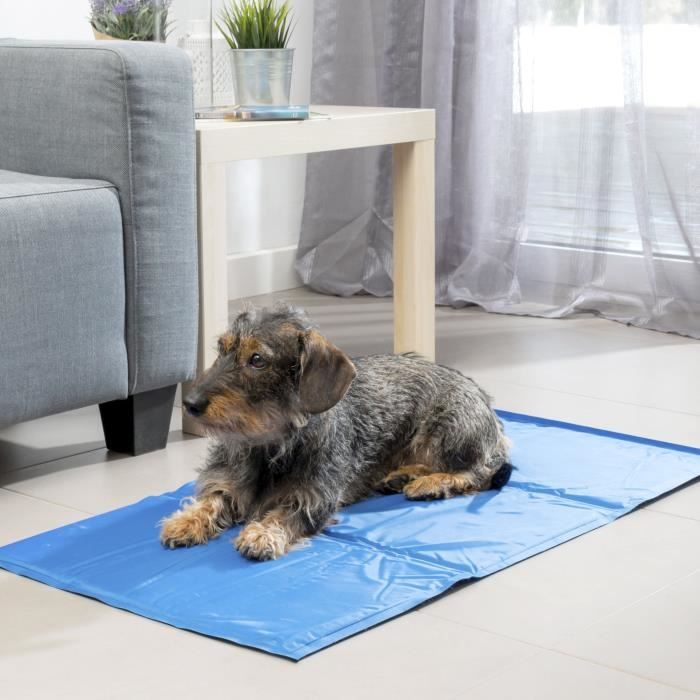 INNOVAGOODS Tapis de refroidissement - 90 x 50 cm - Pour chien