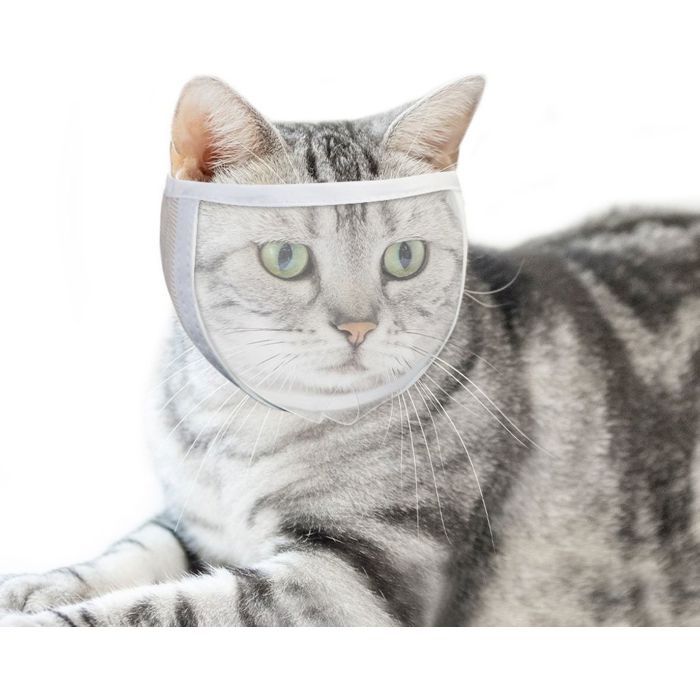 Meilleurs prix pour Muselière pour chats pour toilettage et usage vétérinaire Blanc M