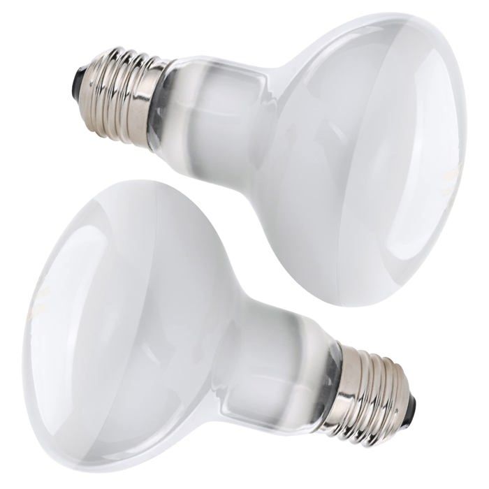 Lampe Chauffante 2pcs 50W Lampe Chauffante Tortue UVA E27 Spiral Lampe Reptiles220V Silver Plated Glass Ampoule Lamp