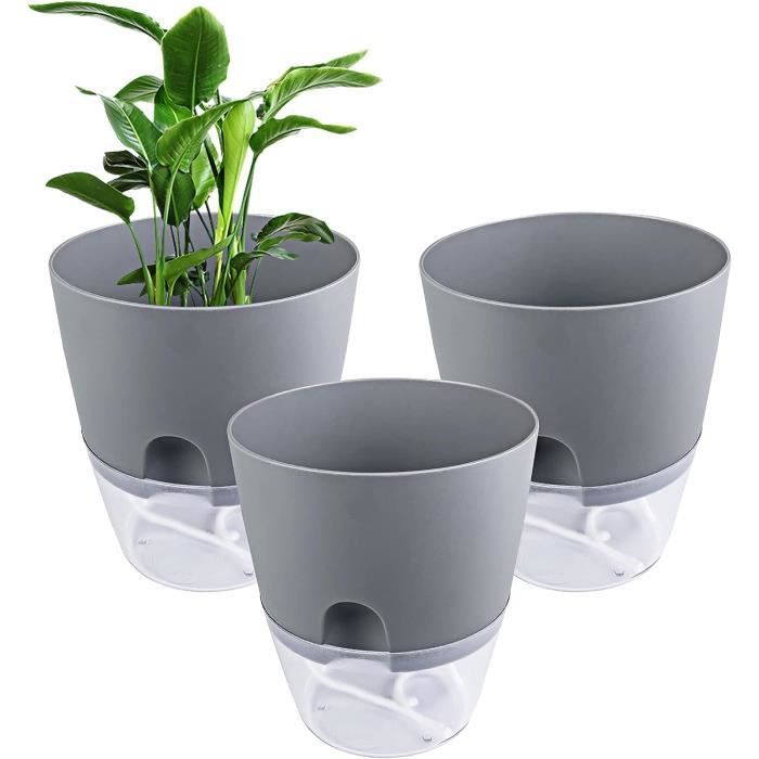 2 Pots à Orchidées Transparents Avec Trous D'aération - Diamètre 25 Cm, Plastique Robuste - Pour Plantes D'intérieur