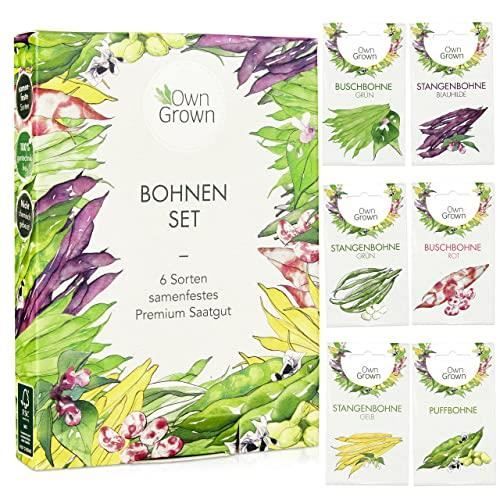 BeGreat Set de Graines de Haricots Multicolores - 6 Variétés Délicieuses pour Jardin