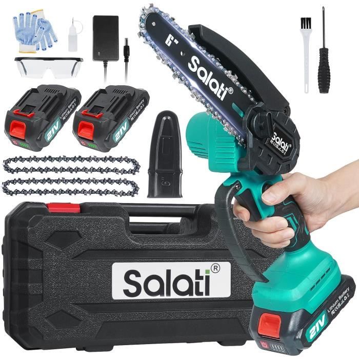 Mini Tronçonneuse à Batterie 8 et 6 Pouces 2 in 1, Tronçonneuse Électrique avec 800W Moteur sans