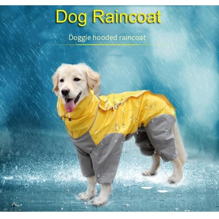 Manteau golden retriever outlet