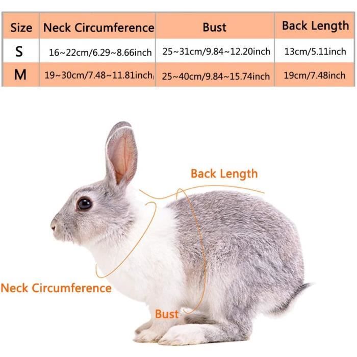 S Vetement pour Lapin Nain Petits Animaux Domestiques avec Chapeau