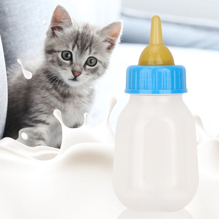 SALALIS Mangeoire pour animaux de compagnie Biberon Portable en Silicone Transparent et Durable 120ml pour animalerie collerette