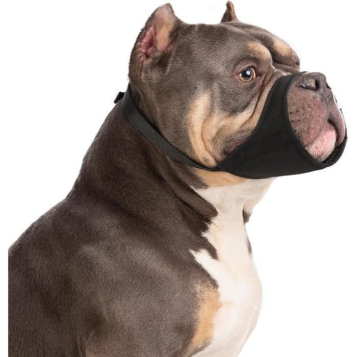 Muselière pour Chiens pour Pitbull Rottweilers Bully Bulldog Boxers de Taille Moyenne et Grande à museau Court L