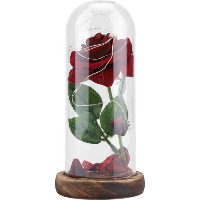Rose Du Petit Prince, Fleur éternelle Préservée Avec Ficelle à Del Dans Un Dôme En Verre.Bon Pour Petite Amie, Saint Valentin, Le Jour De La Fête Des Rose Du Petit Prince, Fleur éternelle Préservée Avec Ficelle à Del Dans Un Dôme En Verre.Bon Pour Petite Amie, Saint Valentin, Le Jour De La Fête Des