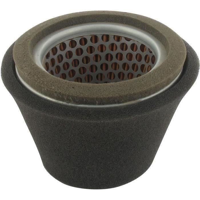 Filtre à air ROBIN 207-326-0618