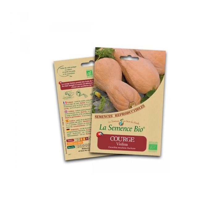 La semence Bio - Courge violina - Cdiscount Jardin