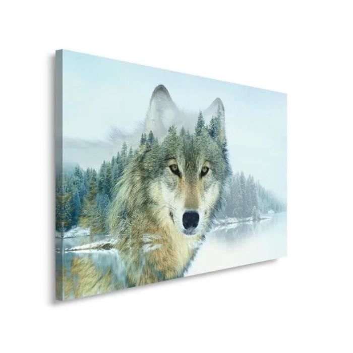 Canevas Imprimer Jeune Fille De Loup Impression Sur Toile Roulée Tableau Art Décoration Murale