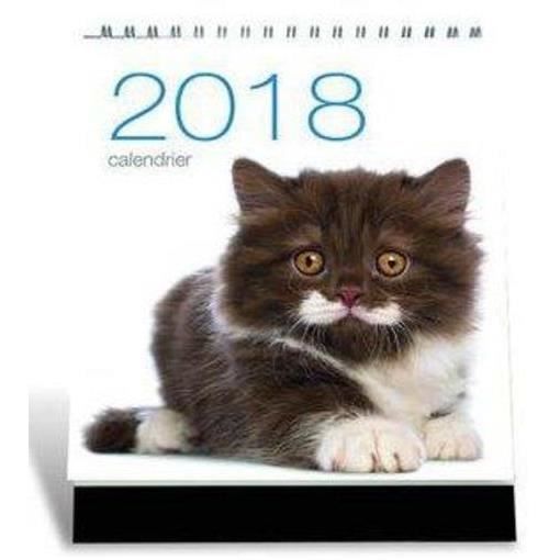 Calendrier 18 Chats Cdiscount