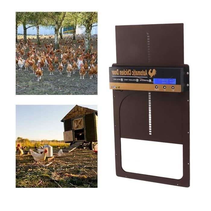 Meilleurs prix pour Ouvre-porte automatique de poulailler à piles avec minuterie 100‑240 V (prise UE marron)