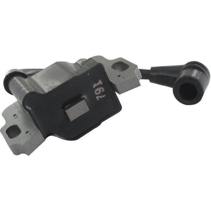 Bobine d'allumage adaptable pour HONDA modèles GX100, GX60