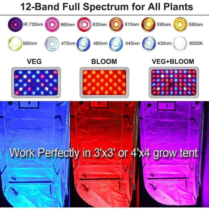Lampe Horticole LED GroCruiser 600W - Spectre Complet Avec UV/IR, 588 LEDs, Refroidissement Actif - Pour Plantes Intérieur