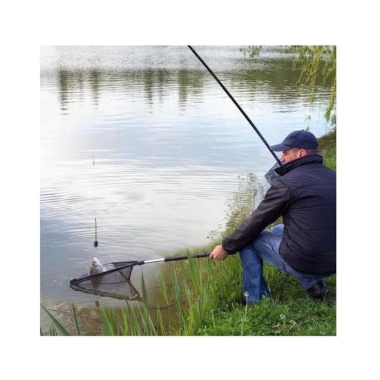 Aicharynic Épuisette Télescopique 50 Cm – Filet Pliable En Alliage Alu, Légère 0,25 Kg, Pour Tous Les Pêcheurs