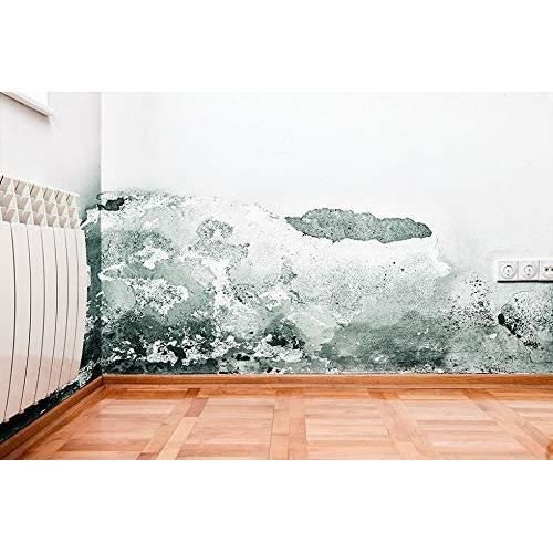 Peinture anti moisissure et humidité blanche pour murs et  plafonds-Interieur Exterieur Enterrés-Acrylique et lessivable-Respi[~54] -  Cdiscount Bricolage