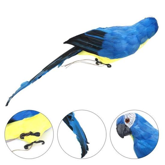 45 cm artificielle Perroquets Oiseaux réaliste principal décor Budge taxidermy