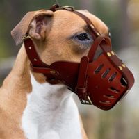 Taille:M - Brun - Muselière en cuir véritable pour chien, Anti-morsure, morsure, pour Pitbull Labrador
