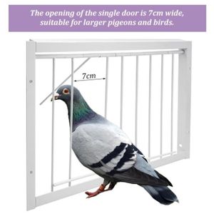 Cage piege oiseau - Cdiscount