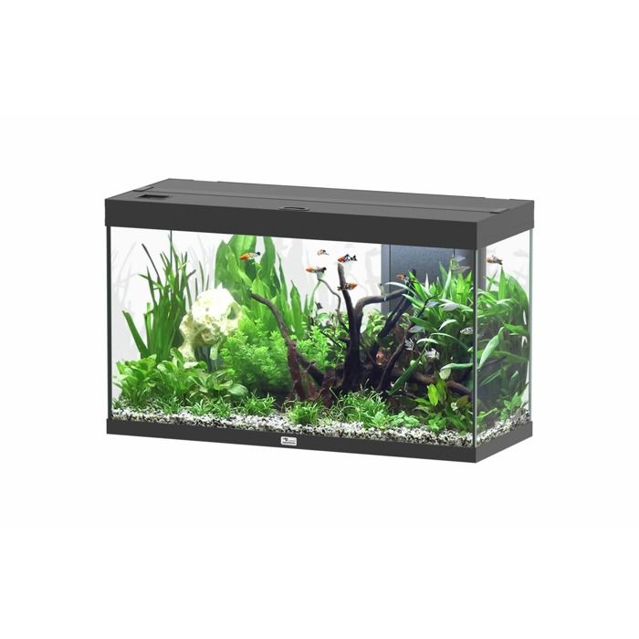 Comparer les prix de Aquarium rectangulaire Splendid 100 Easy LED 2.0 et Biobox - Aquatlantis Noir - 248L