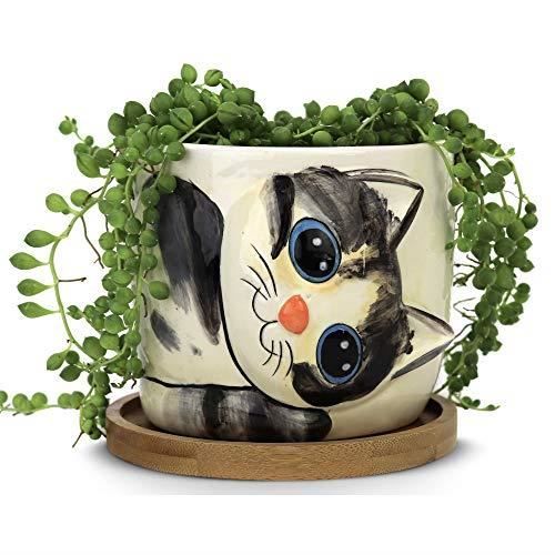 Window Garden Jardinière Chat - Pot Grand pour Plantes Intérieures, Fleurs, Herbes - Cadeau Idéal Amoureux Chats, Modèle Sebby