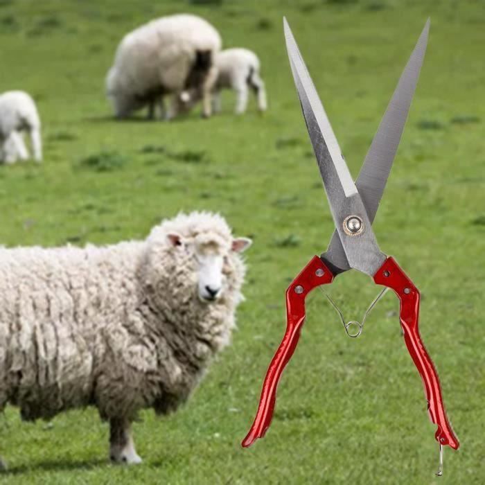 Meilleurs prix pour FUNNING-340mm Tondeuse à Moutons manuelle - Ciseaux Cisaillement Moutons 112258