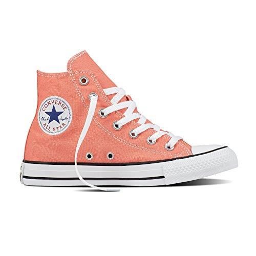 converse botte